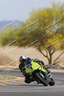 media/Apr-12-2025-Race Pace (Sat) [[9230add55f]]/Vested/6-Turn 4 Tree of Life (115pm)/